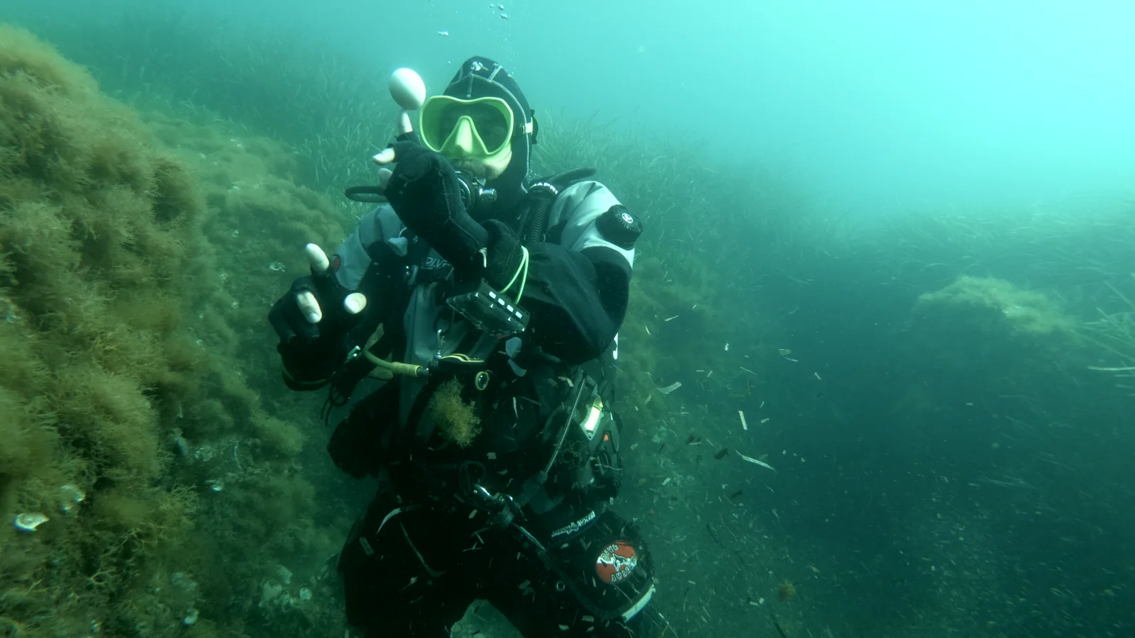 How I Choose Between 3 mm, 7 mm and a Drysuit