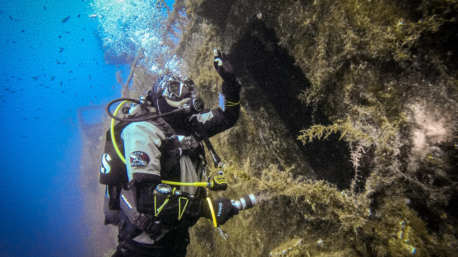 Waterproof W1 7 mm: Why Front-Zip Matters When You Dive Alone