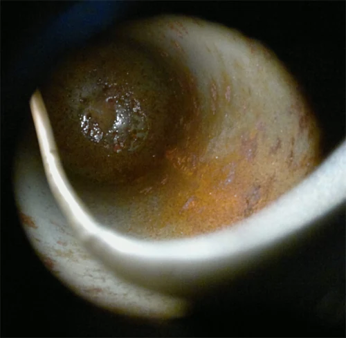 Internal view of a small compressed-gas cylinder showing extensive corrosion on the internal wall